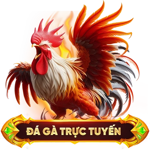 đá gà trực tuyến 8XBET